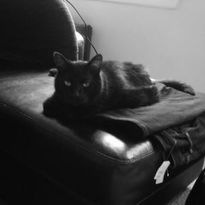 Meet your Posher, Karen